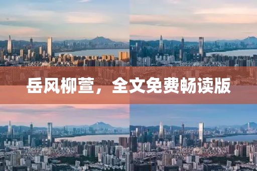 岳风柳萱，全文免费畅读版