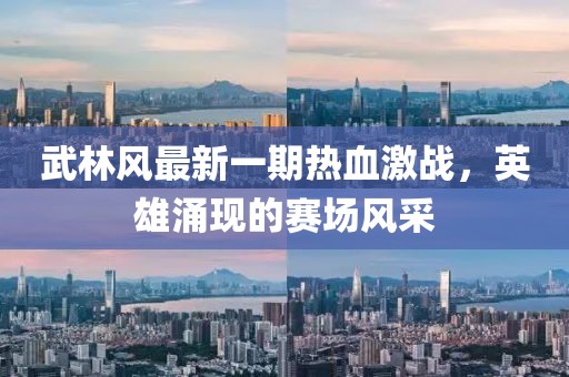 武林风最新一期热血激战，英雄涌现的赛场风采