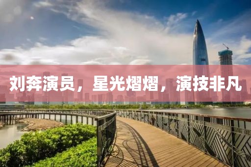 刘奔演员，星光熠熠，演技非凡