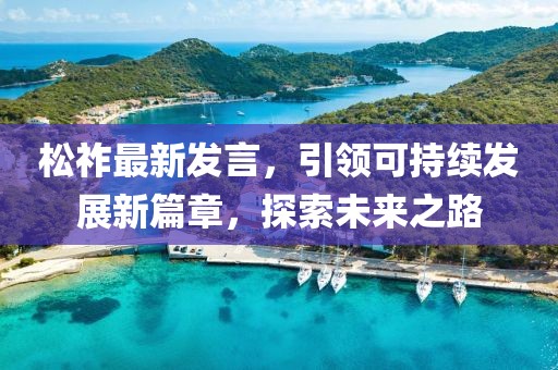 松祚最新发言，引领可持续发展新篇章，探索未来之路