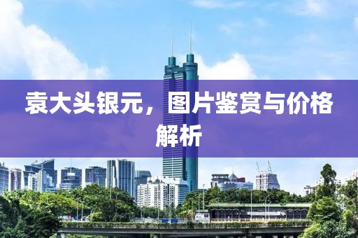 袁大头银元，图片鉴赏与价格解析