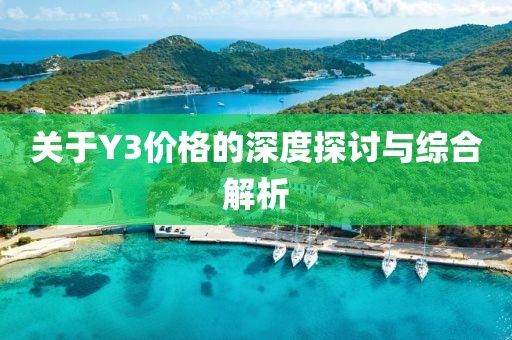 关于Y3价格的深度探讨与综合解析