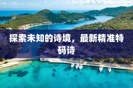探索未知的诗境，最新精准特码诗