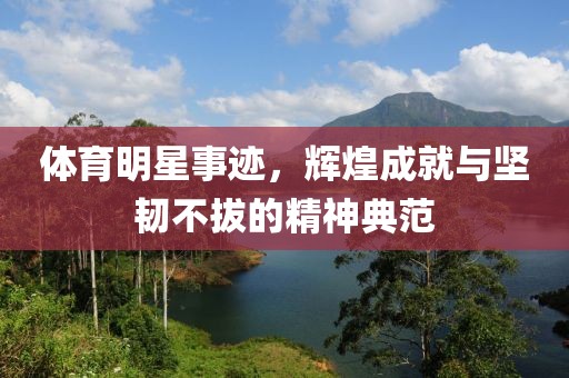 体育明星事迹，辉煌成就与坚韧不拔的精神典范