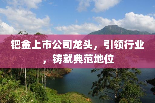 钯金上市公司龙头，引领行业，铸就典范地位
