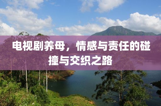 电视剧养母，情感与责任的碰撞与交织之路
