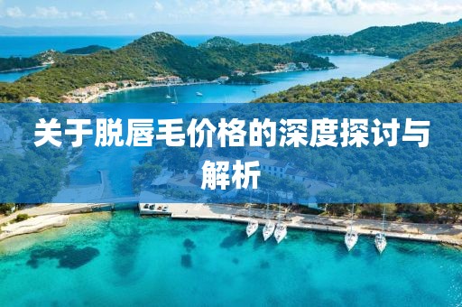关于脱唇毛价格的深度探讨与解析