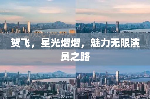 贺飞，星光熠熠，魅力无限演员之路