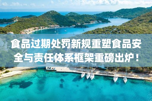食品过期处罚新规重塑食品安全与责任体系框架重磅出炉！