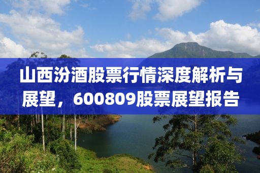 山西汾酒股票行情深度解析与展望，600809股票展望报告