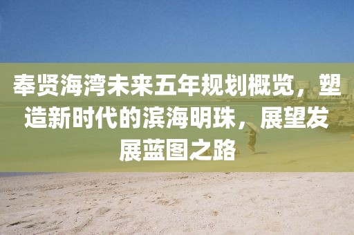 奉贤海湾未来五年规划概览，塑造新时代的滨海明珠，展望发展蓝图之路