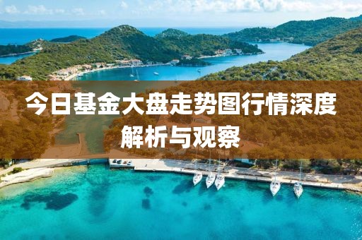今日基金大盘走势图行情深度解析与观察