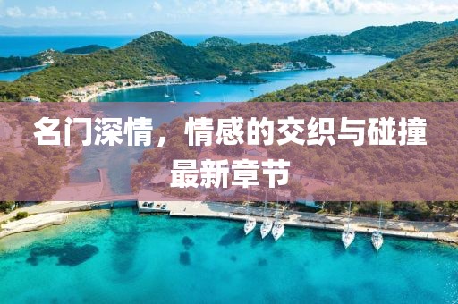 名门深情，情感的交织与碰撞最新章节