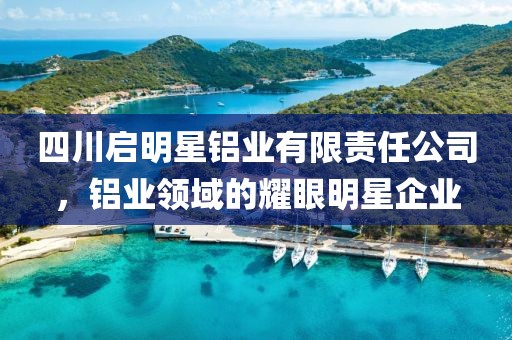 四川启明星铝业有限责任公司，铝业领域的耀眼明星企业