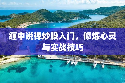 缠中说禅炒股入门，修炼心灵与实战技巧