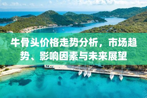 牛骨头价格走势分析，市场趋势、影响因素与未来展望