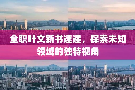 全职叶文新书速递，探索未知领域的独特视角