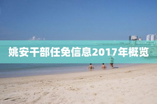 姚安干部任免信息2017年概览