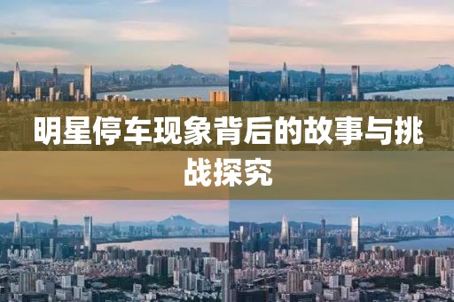 明星停车现象背后的故事与挑战探究