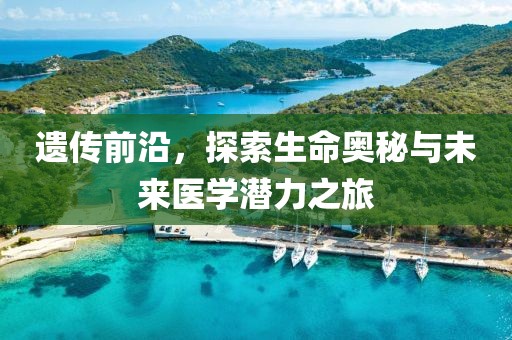 遗传前沿，探索生命奥秘与未来医学潜力之旅