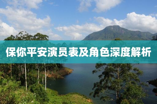 保你平安演员表及角色深度解析