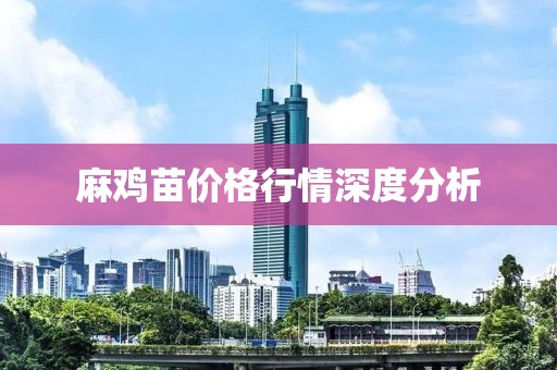 麻鸡苗价格行情深度分析
