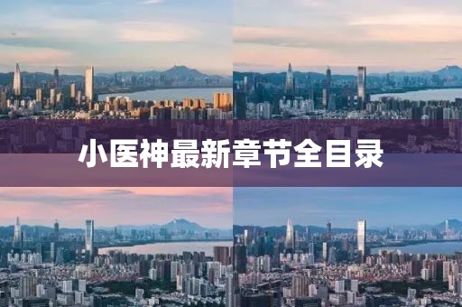 小医神最新章节全目录