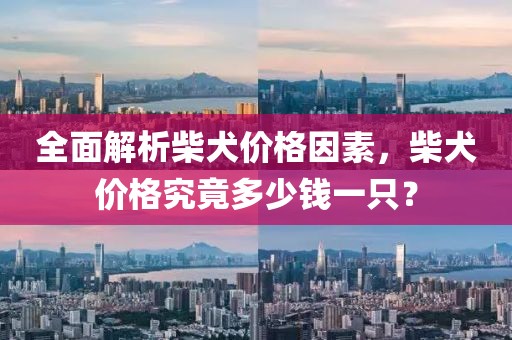 全面解析柴犬价格因素，柴犬价格究竟多少钱一只？