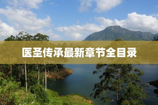 医圣传承最新章节全目录