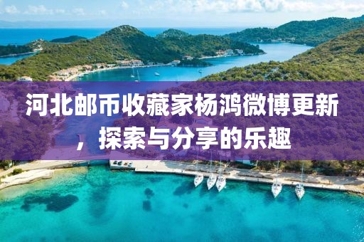 河北邮币收藏家杨鸿微博更新，探索与分享的乐趣