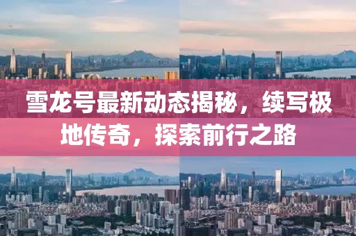 雪龙号最新动态揭秘，续写极地传奇，探索前行之路