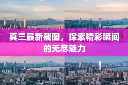 真三最新截图，探索精彩瞬间的无尽魅力