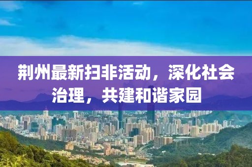 荆州最新扫非活动，深化社会治理，共建和谐家园