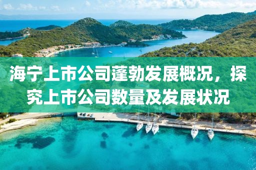 海宁上市公司蓬勃发展概况,探究上市公司数量及发展状况