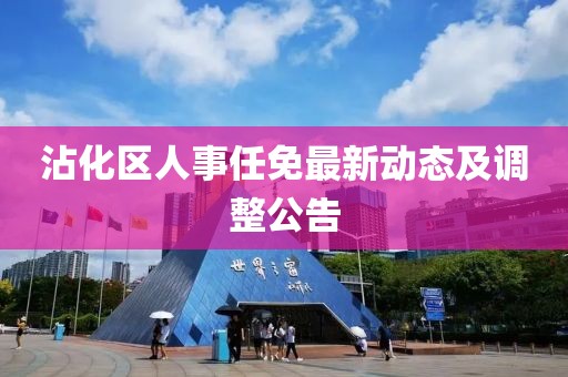 沾化区人事任免最新动态及调整公告