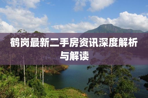 鹤岗最新二手房资讯深度解析与解读