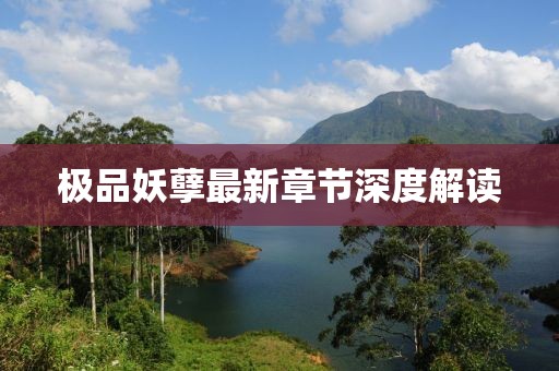 极品妖孽最新章节深度解读
