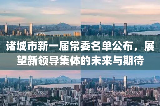 诸城市新一届常委名单公布，展望新领导集体的未来与期待