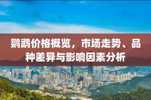 鹦鹉价格概览，市场走势、品种差异与影响因素分析