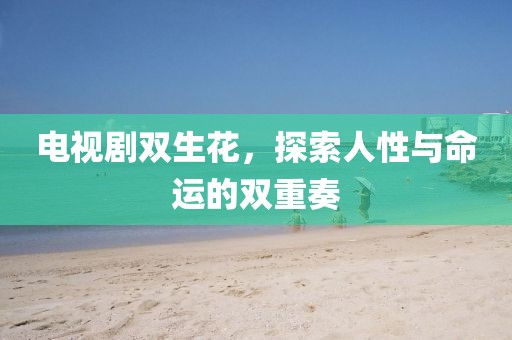 电视剧双生花,探索人性与命运的双重奏