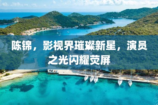 陈锦，影视界璀璨新星，演员之光闪耀荧屏