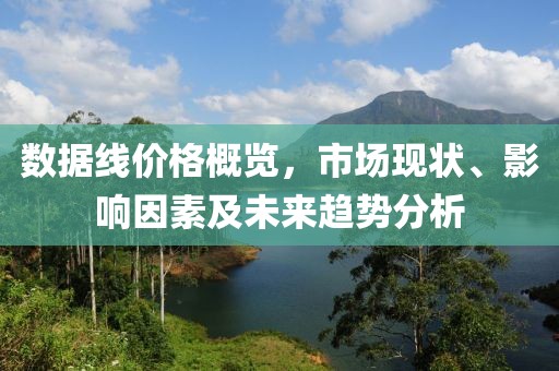 数据线价格概览,市场现状、影响因素及未来趋势分析