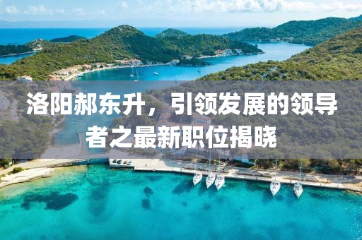 洛阳郝东升，引领发展的领导者之最新职位揭晓
