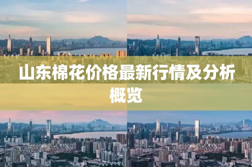 山东棉花价格最新行情及分析概览