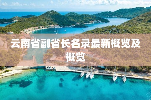 云南省副省长名录最新概览及概览
