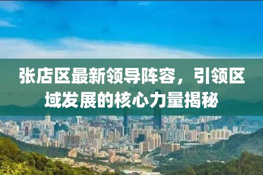张店区最新领导阵容,引领区域发展的核心力量揭秘