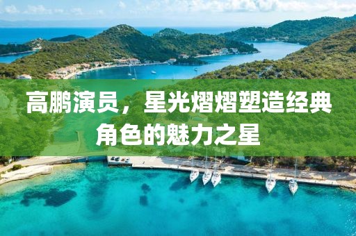 高鹏演员，星光熠熠塑造经典角色的魅力之星