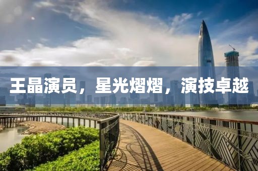 王晶演员，星光熠熠，演技卓越