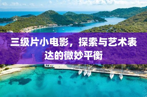 三级片小电影，探索与艺术表达的微妙平衡