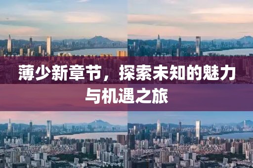 薄少新章节,探索未知的魅力与机遇之旅